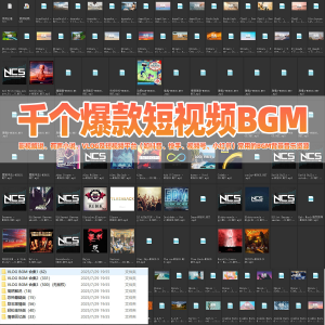 千个爆款短视频BGM背景音乐小红书抖音快手热门VLOG音乐影视解说-婷好淘宝虚拟货源