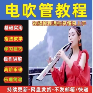 自学乐器电吹管教程课程实用学习教材视频初学者入门零基础-婷好淘宝虚拟货源
