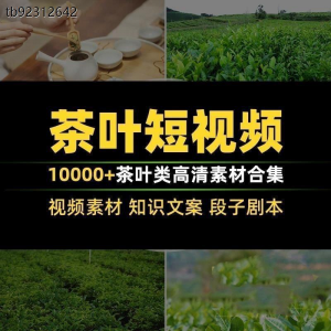 茶叶茶业茶具茶道茶艺茶文化知识文案茶园采茶泡茶高清短视频素材-婷好淘宝虚拟货源