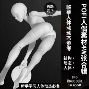 pofi无限人偶4W截图绘画素材pofi无线人偶人体动态学习素材临摹-婷好淘宝虚拟货源