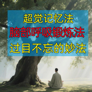 过目不忘修炼记忆力脑部呼吸锻炼法改造大脑健身气功养生训练方法-婷好淘宝虚拟货源